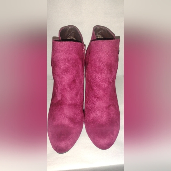 RIALTO Womens Cairo Fabric Closed Toe Ankle Fashion Suede Boots, Size 10M - Picture 1 of 12